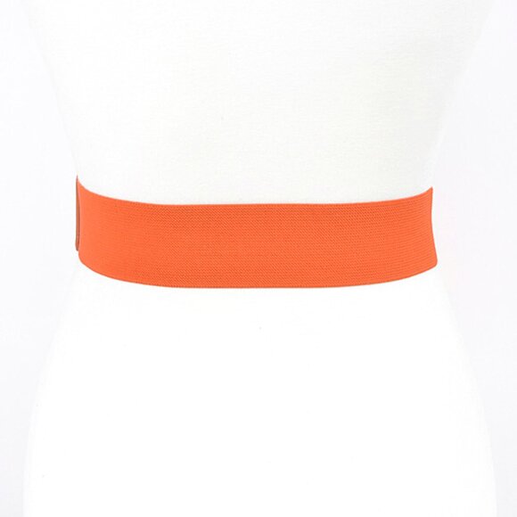 BNWT Metallic Double Buckle Elastic Fashion Belt Square Buckle Stretch Belt - Picture 3 of 5